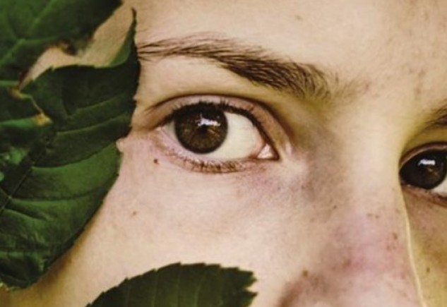 Eenzaamheid van de priemgetallen Eenzaamheid van de priemgetallen